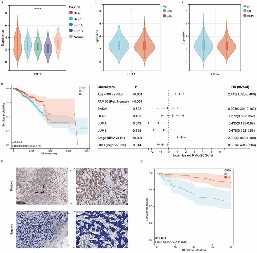 J Cancer Image