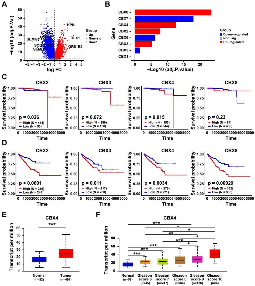 J Cancer Image