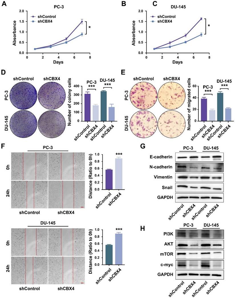 J Cancer Image