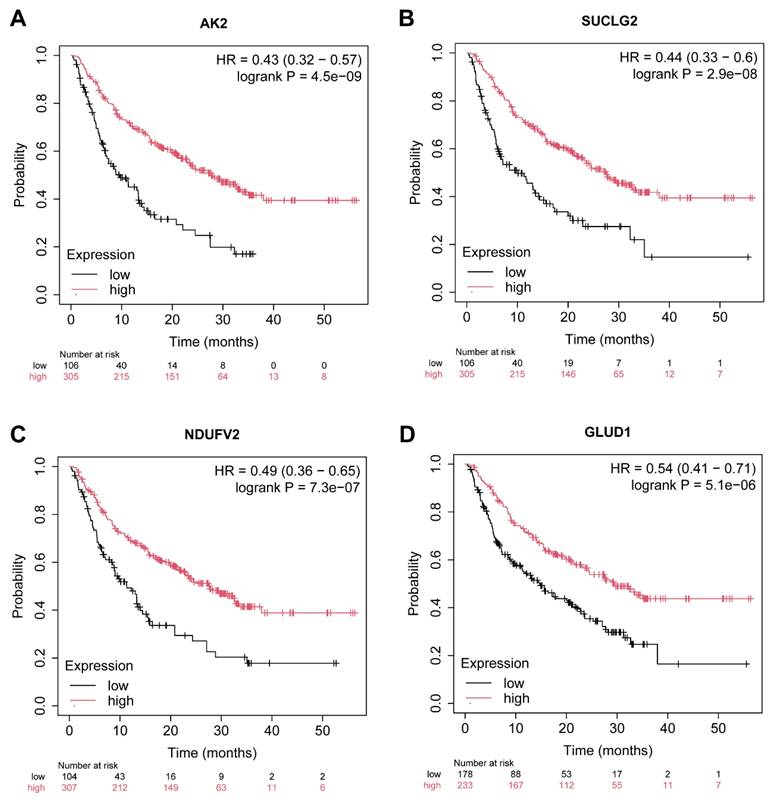 J Cancer Image