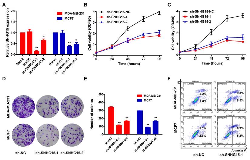 J Cancer Image