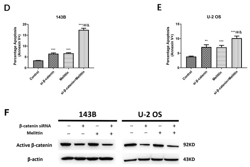 J Cancer Image