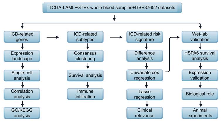 J Cancer Image