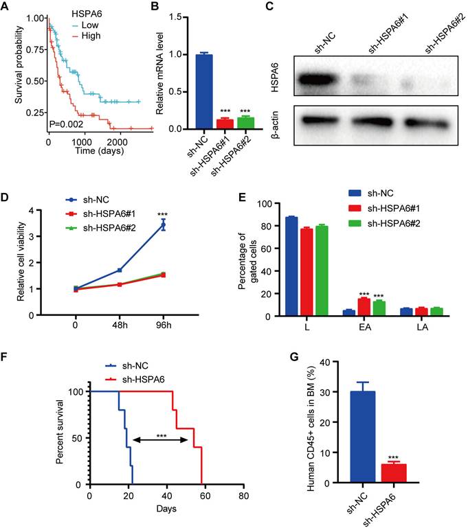J Cancer Image