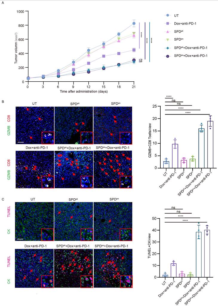 J Cancer Image