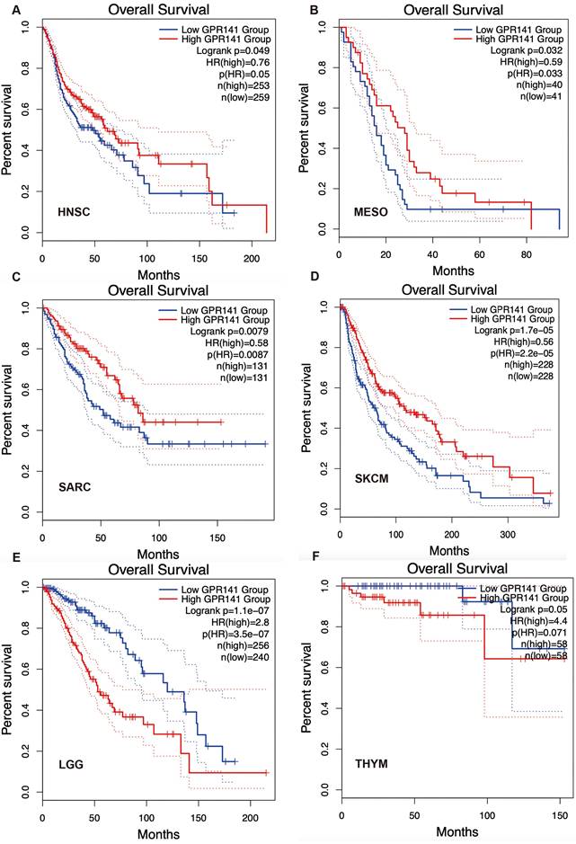 J Cancer Image