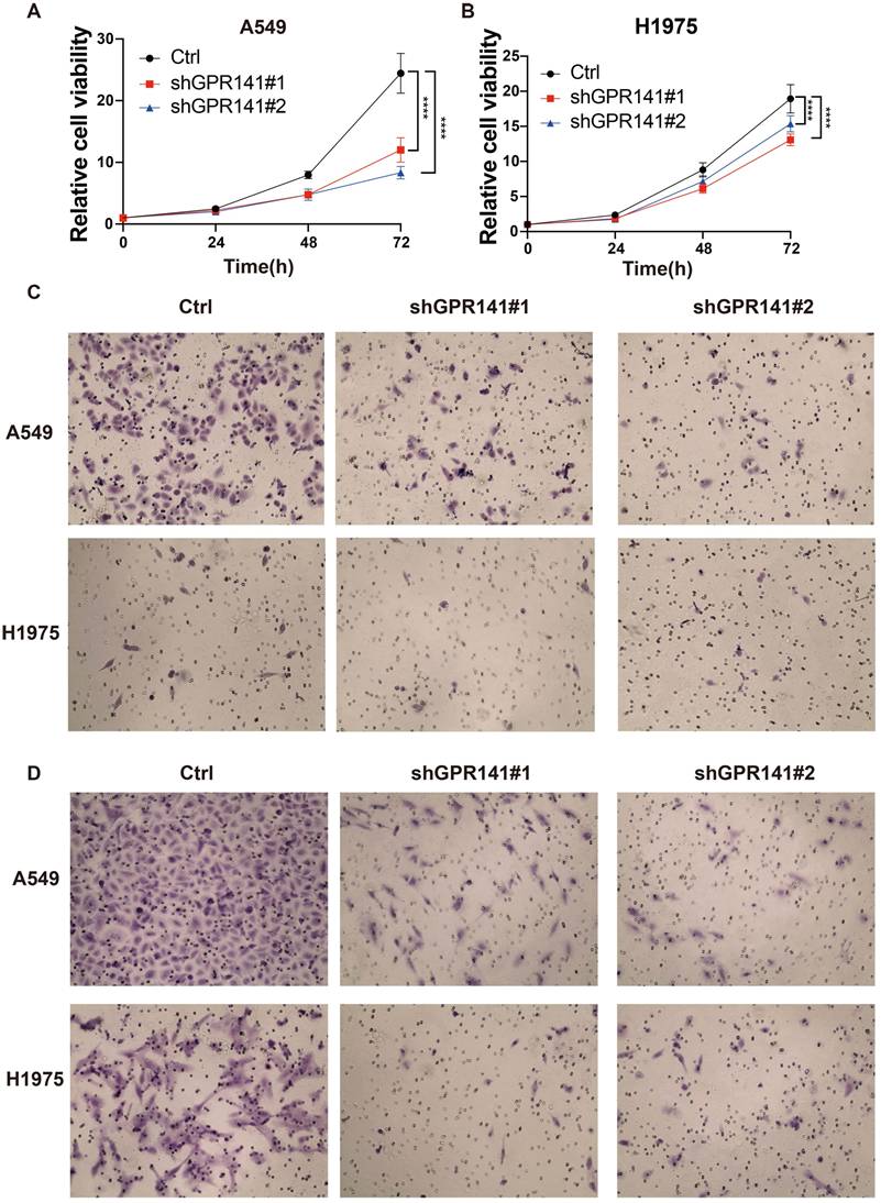 J Cancer Image