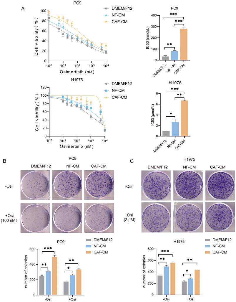 J Cancer Image