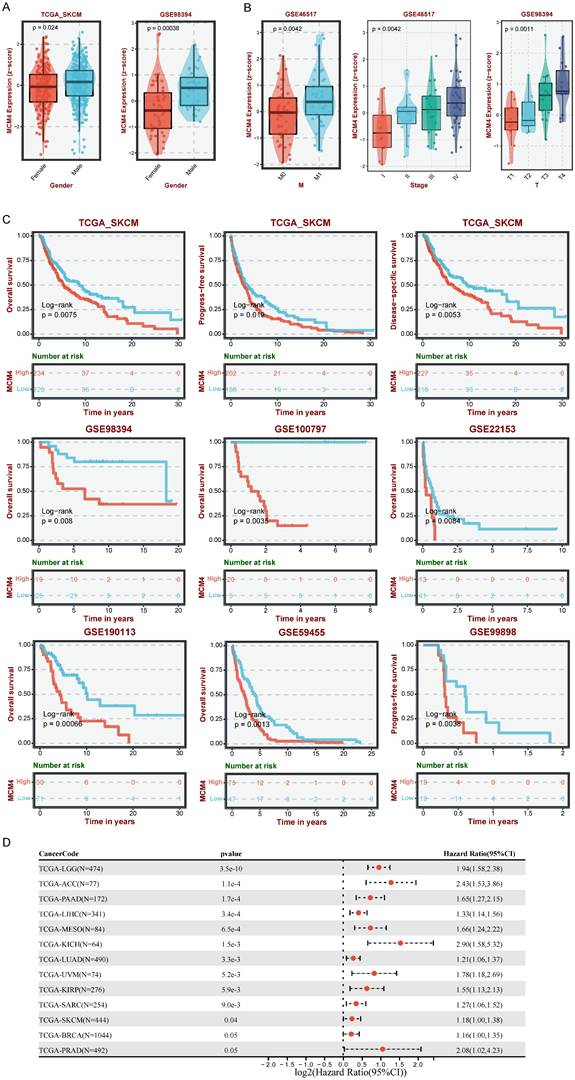 J Cancer Image