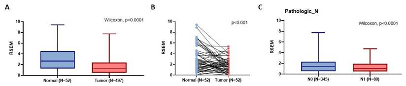 J Cancer Image