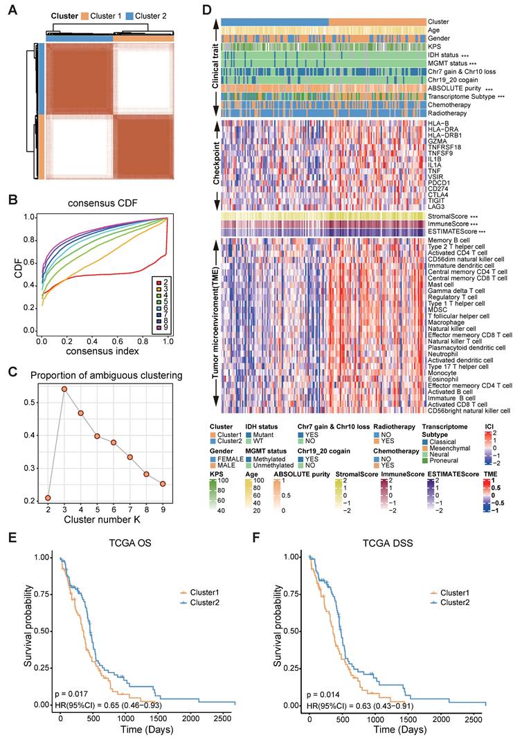 J Cancer Image