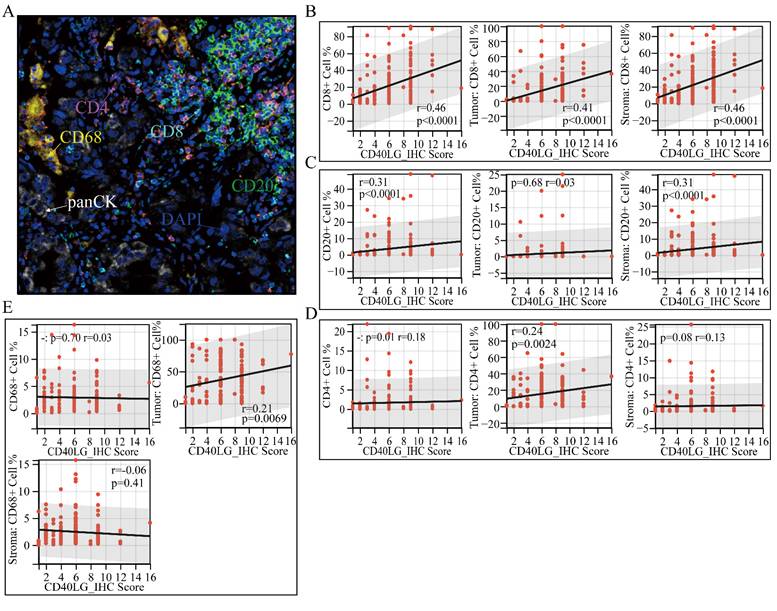J Cancer Image