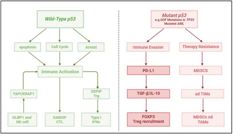 J Cancer Image