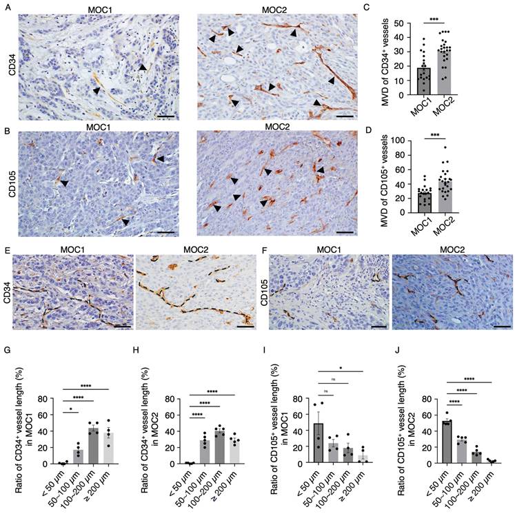J Cancer Image