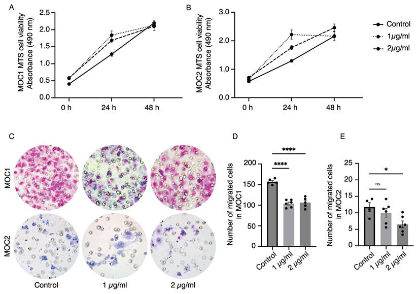 J Cancer Image