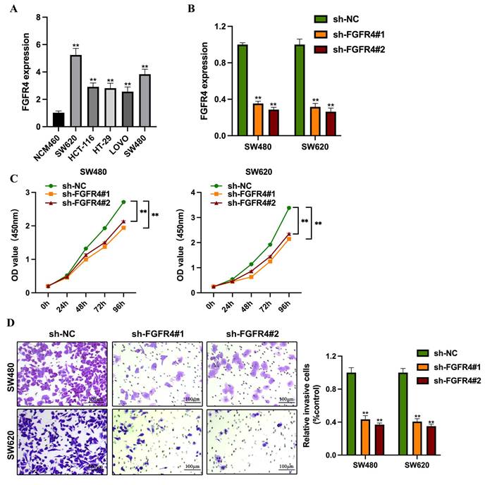 J Cancer Image