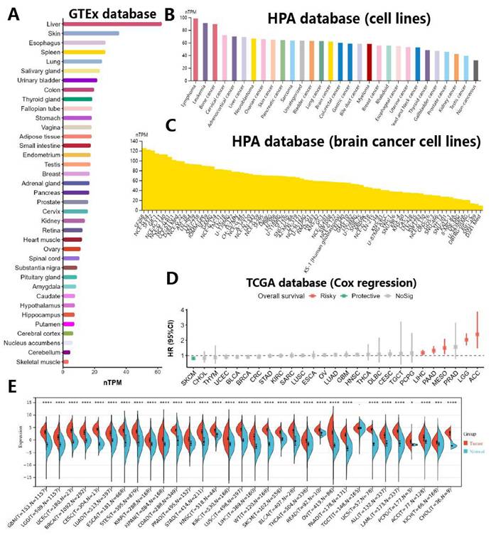 J Cancer Image