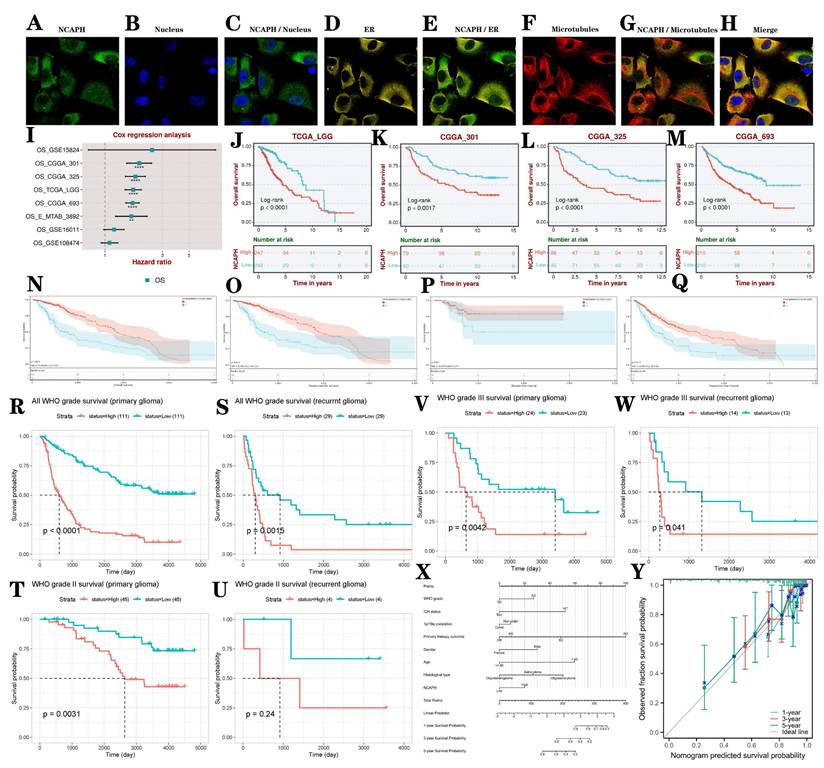 J Cancer Image