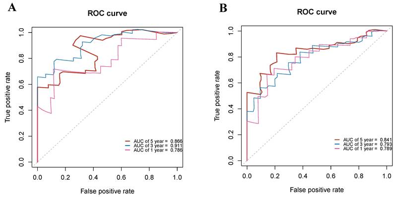J Cancer Image