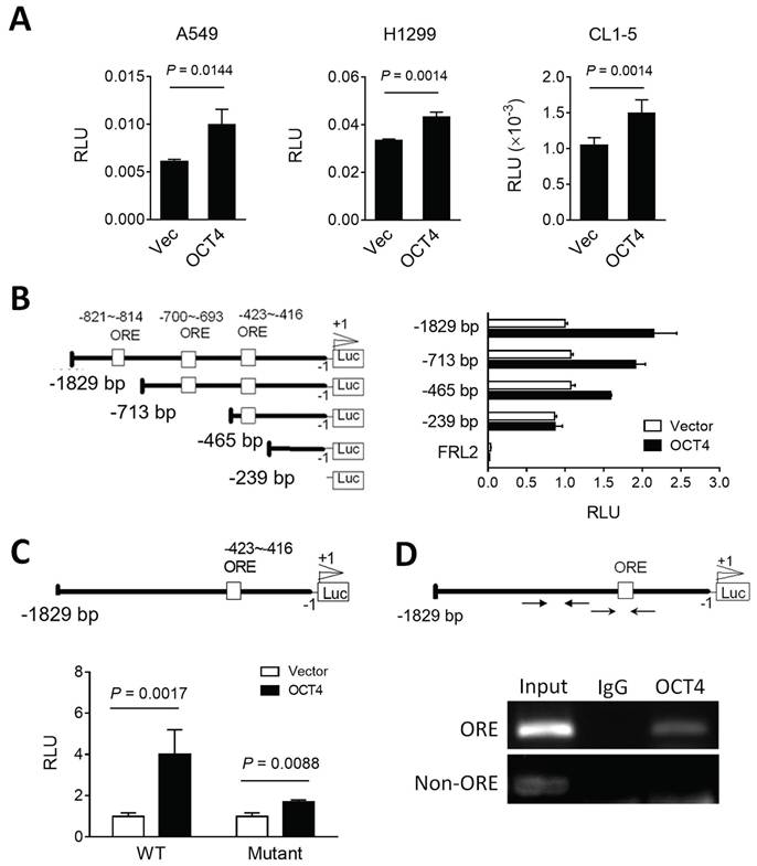 J Cancer Image