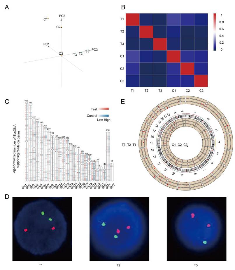 J Cancer Image