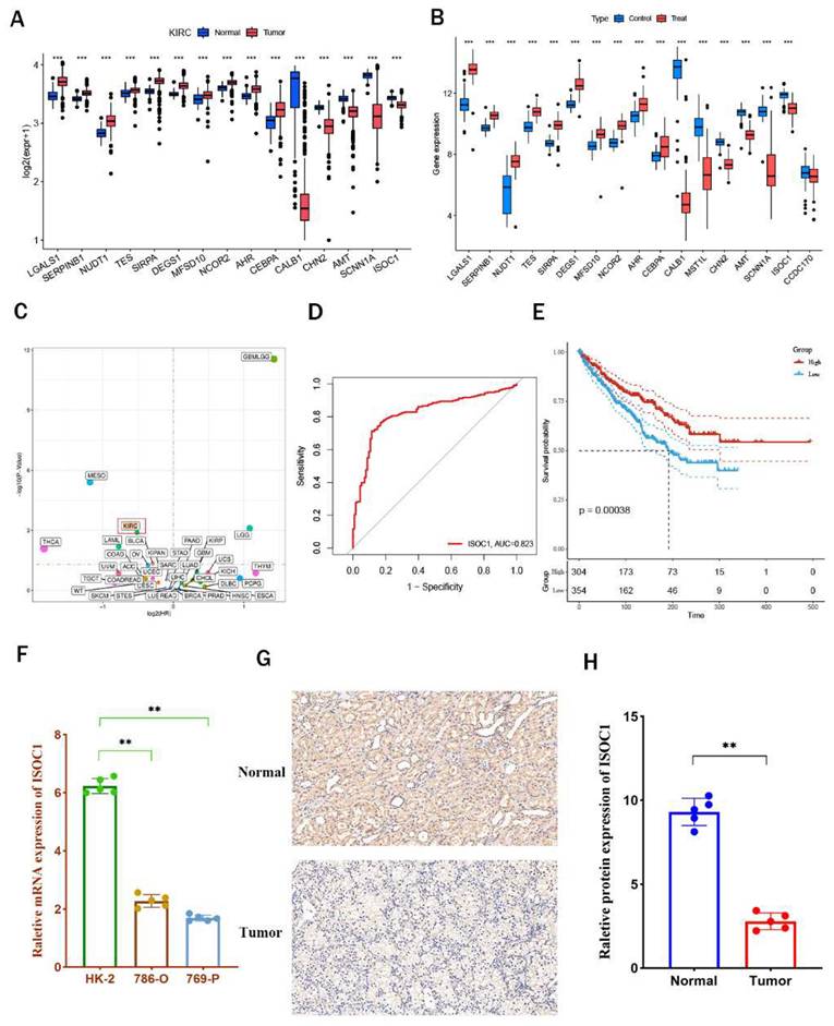 J Cancer Image