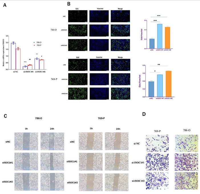 J Cancer Image