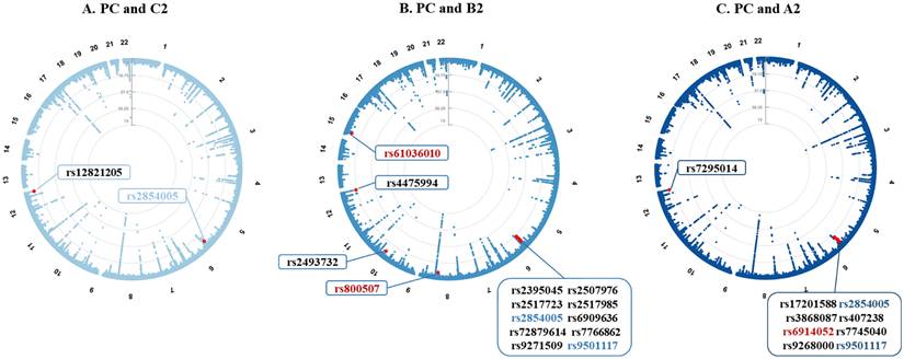 J Cancer Image