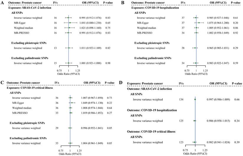 J Cancer Image