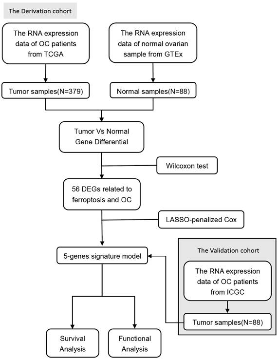J Cancer Image