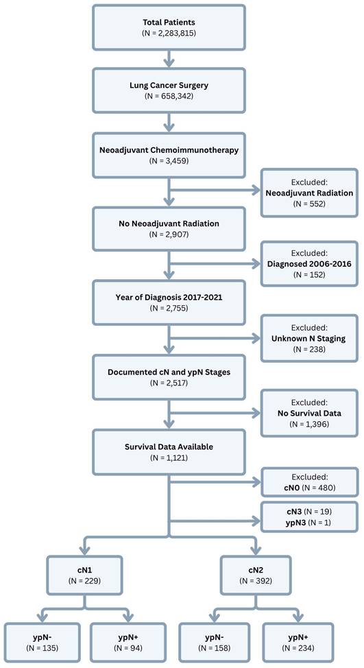 J Cancer Image