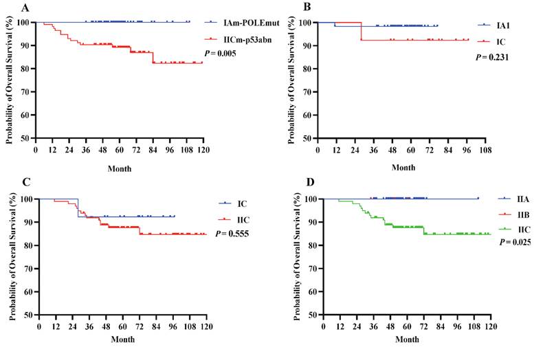 J Cancer Image