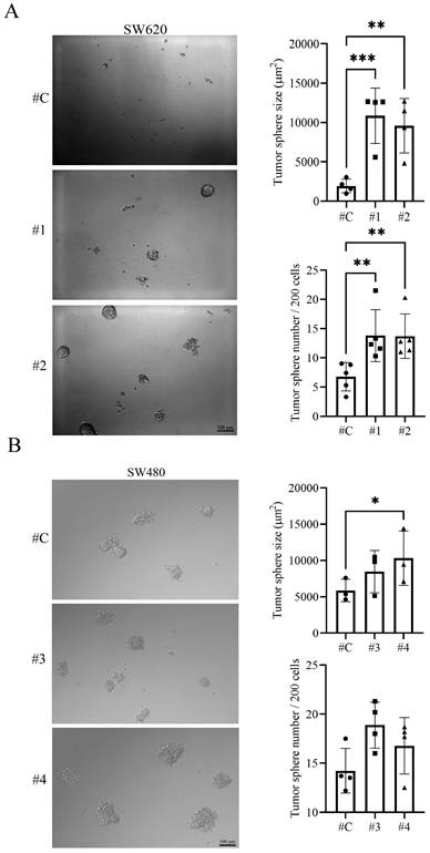 J Cancer Image