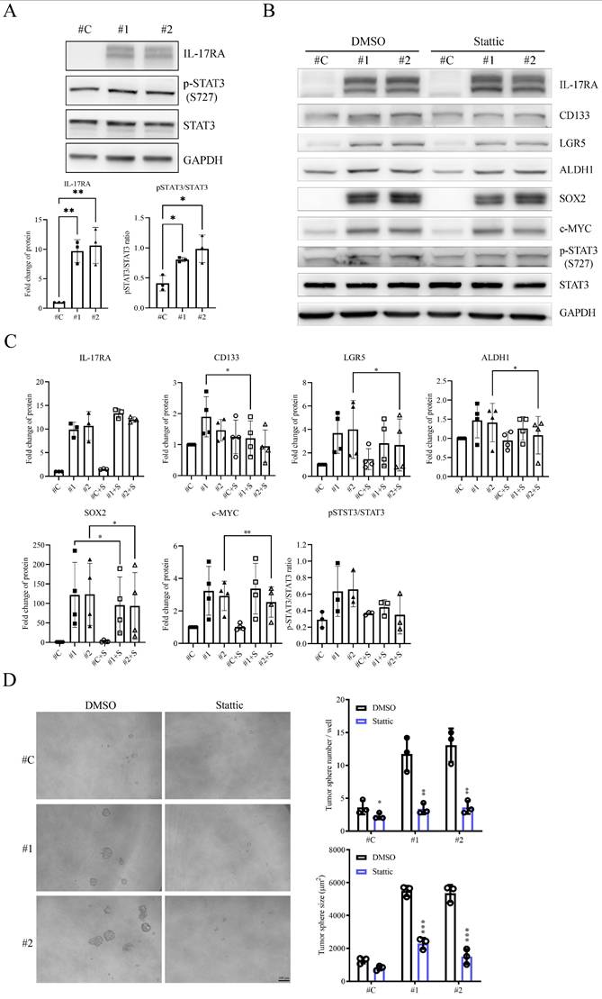 J Cancer Image
