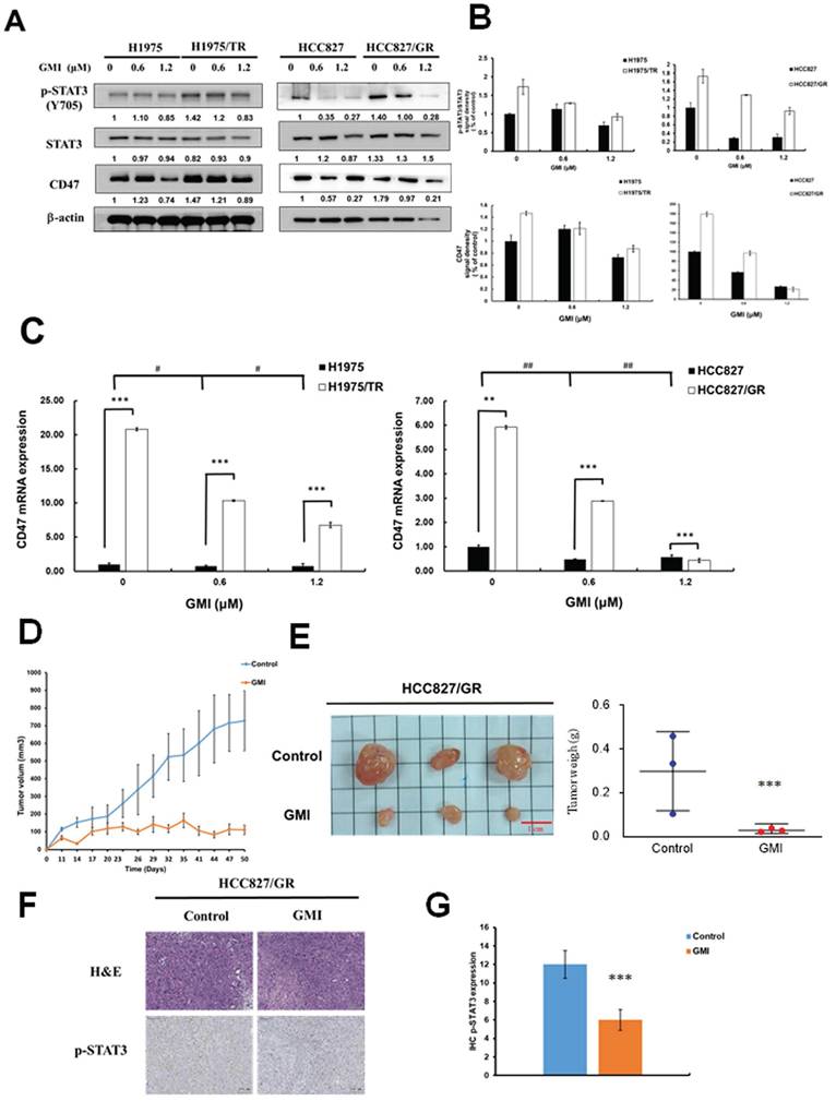 J Cancer Image