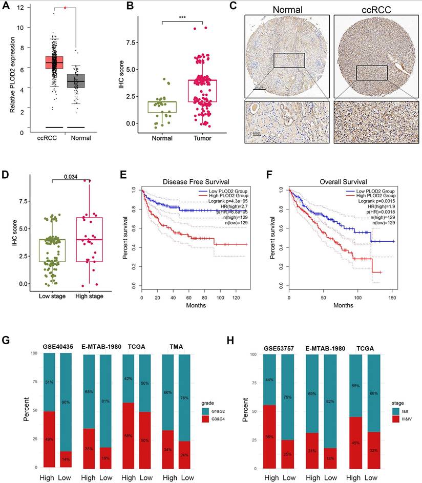 J Cancer Image