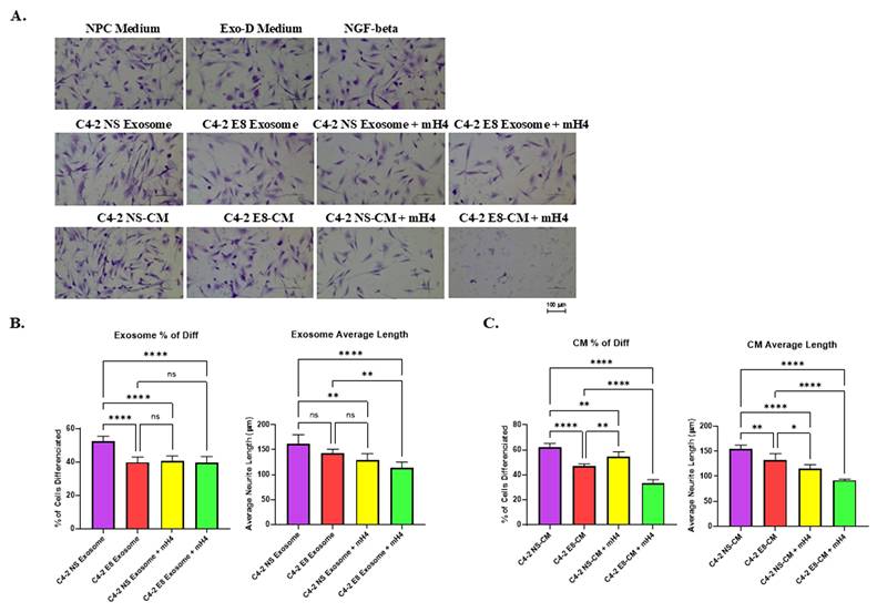 J Cancer Image
