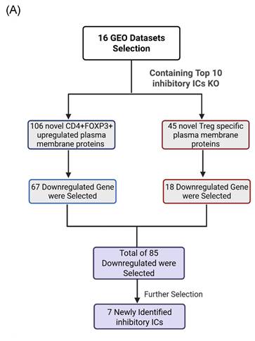J Cancer Image