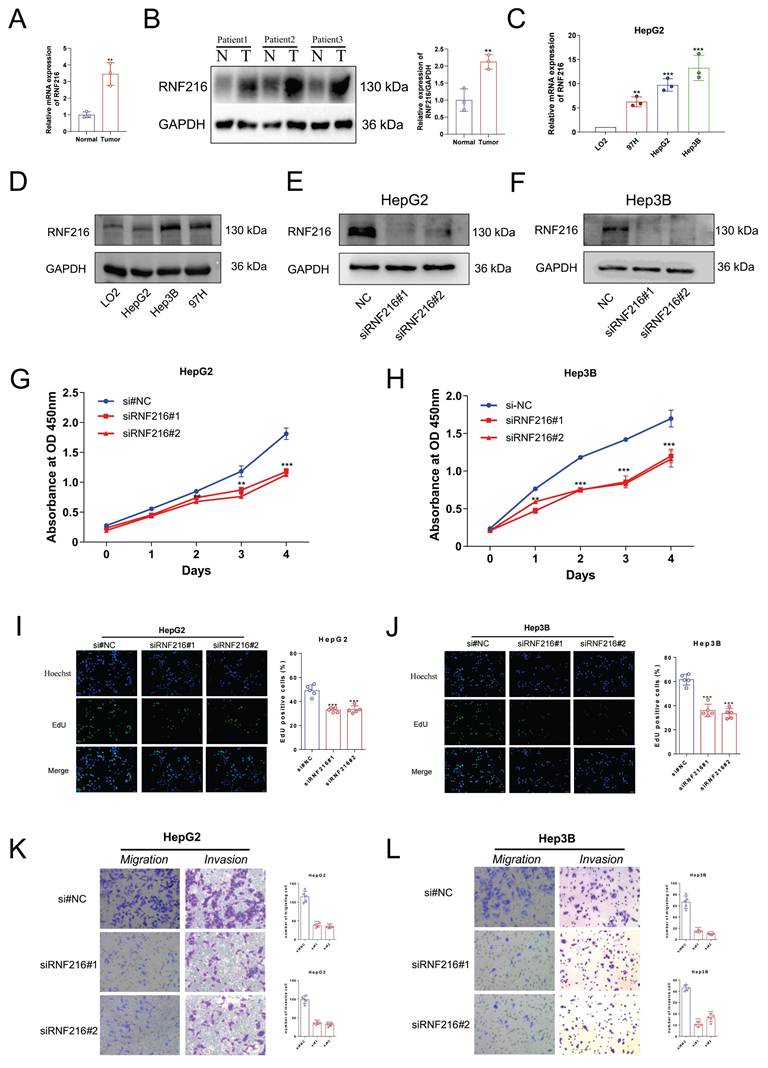 J Cancer Image