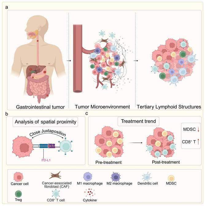 J Cancer Image