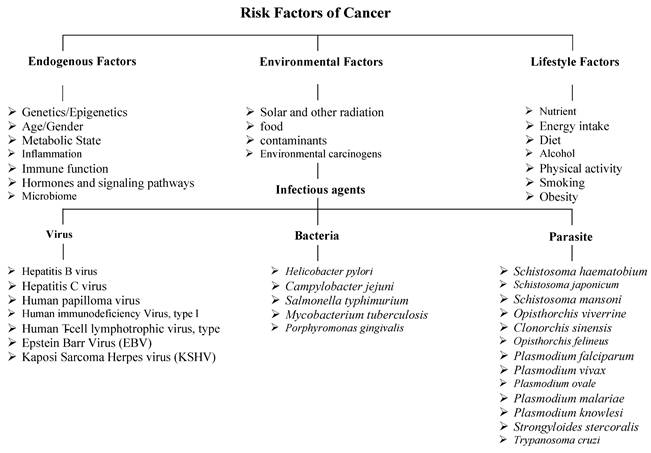 J Cancer Image
