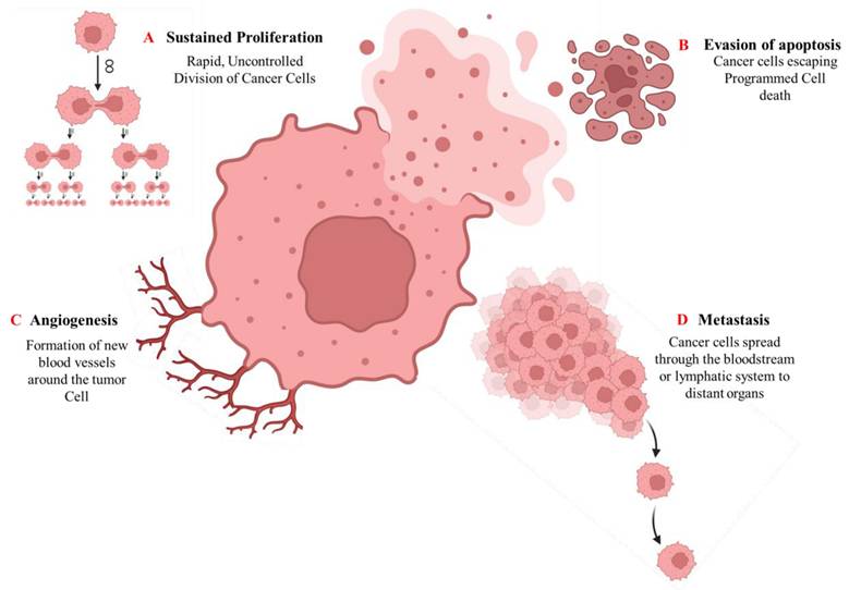 J Cancer Image