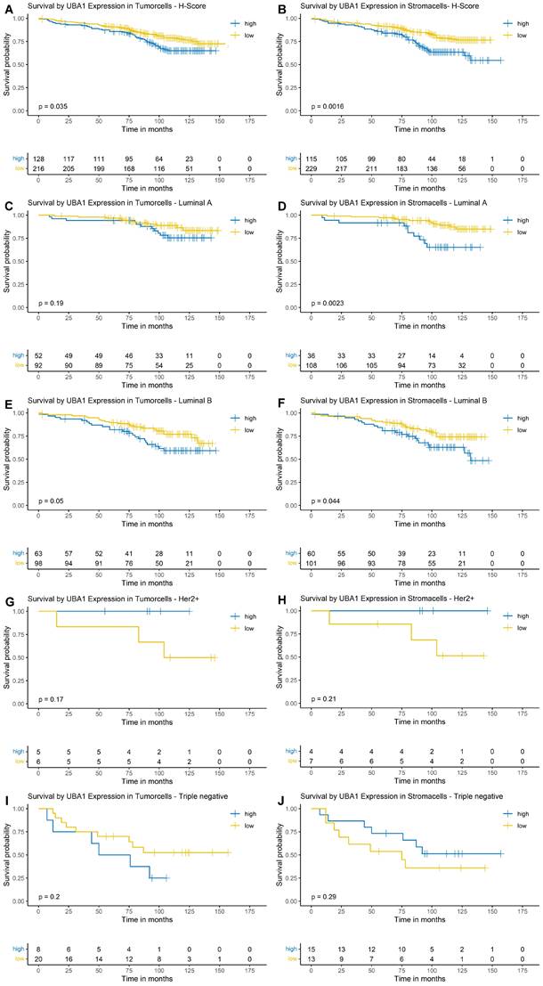 J Cancer Image