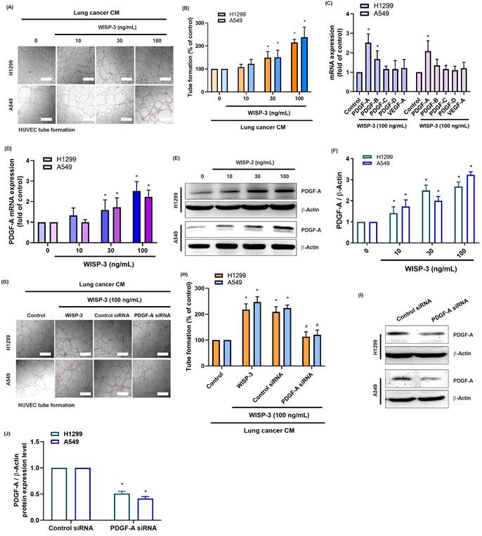 J Cancer Image