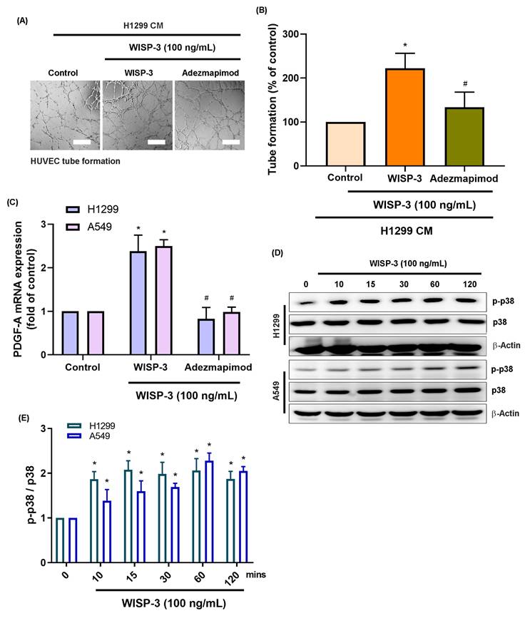 J Cancer Image