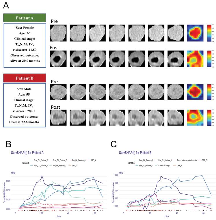 J Cancer Image