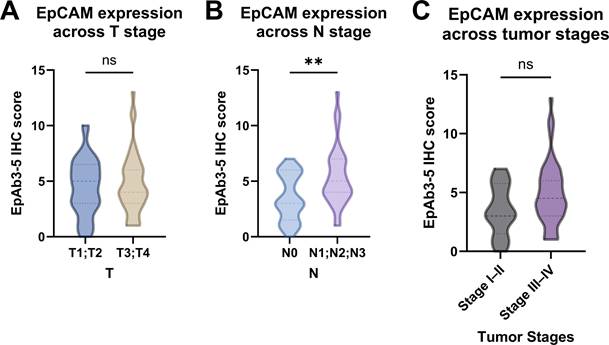J Cancer Image
