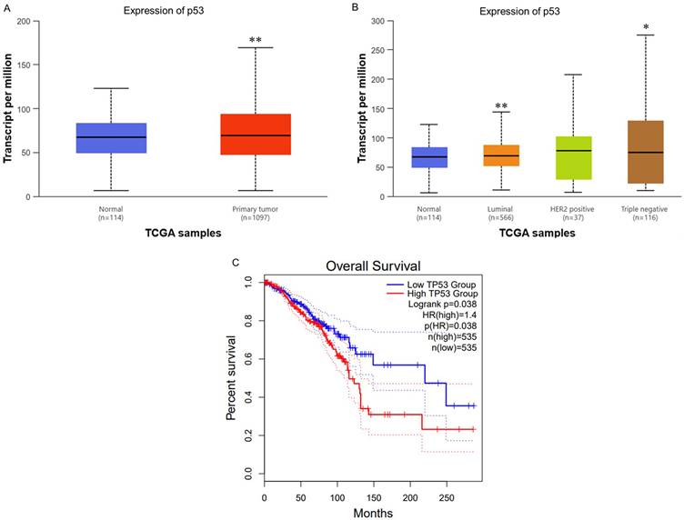 J Cancer Image