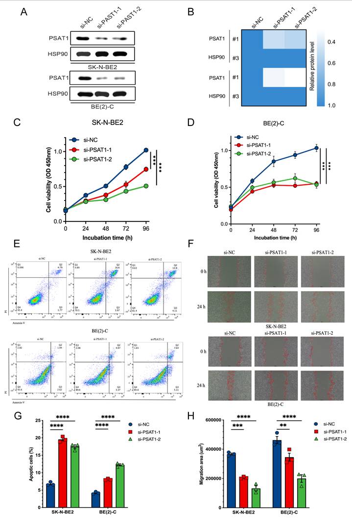 J Cancer Image