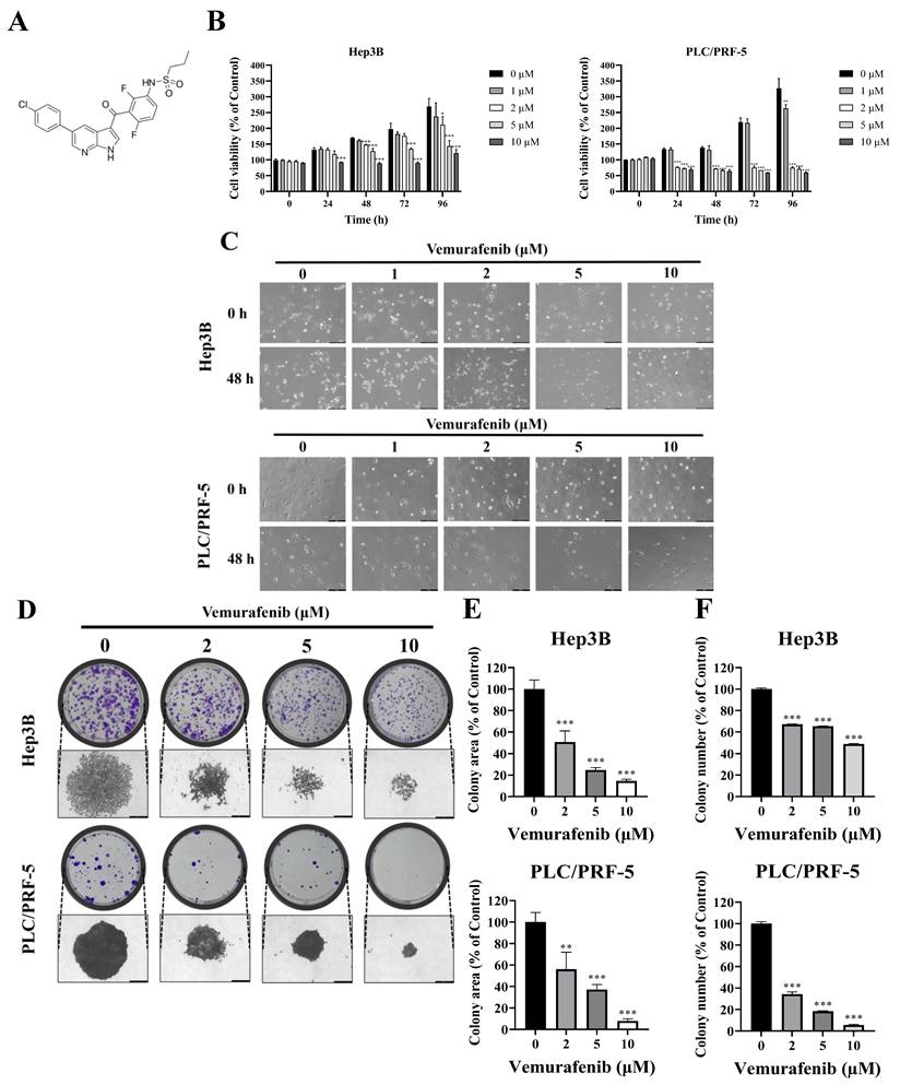J Cancer Image
